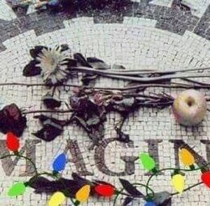 Meet your Posher, Vonnie